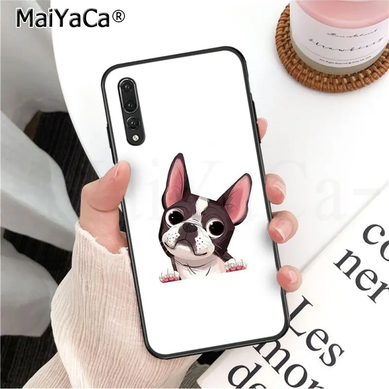 Frenchies Pretty puppy Pug Bulldog