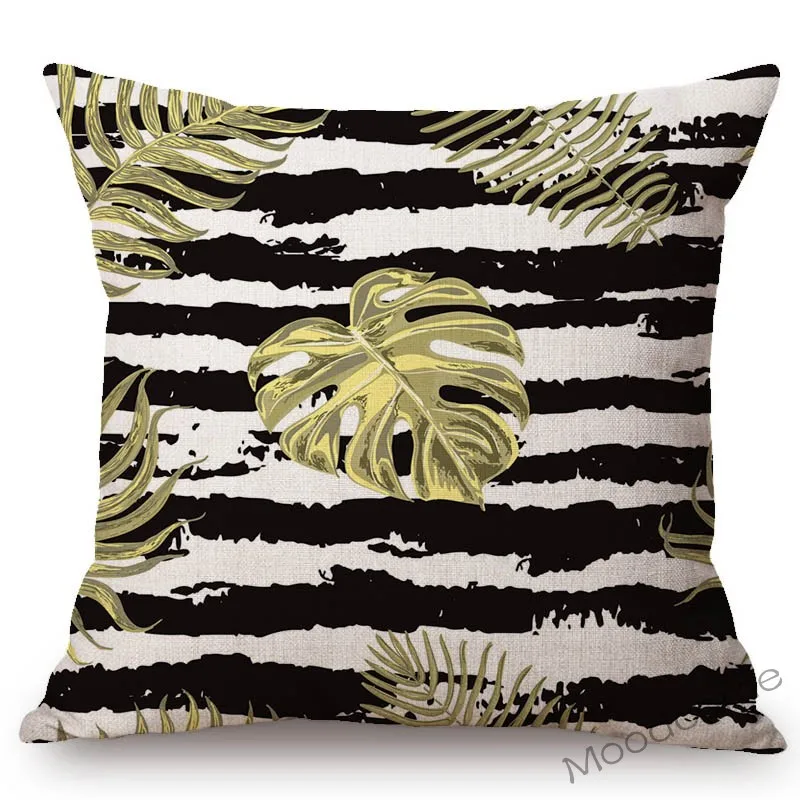 conew_n344 (6) 副本