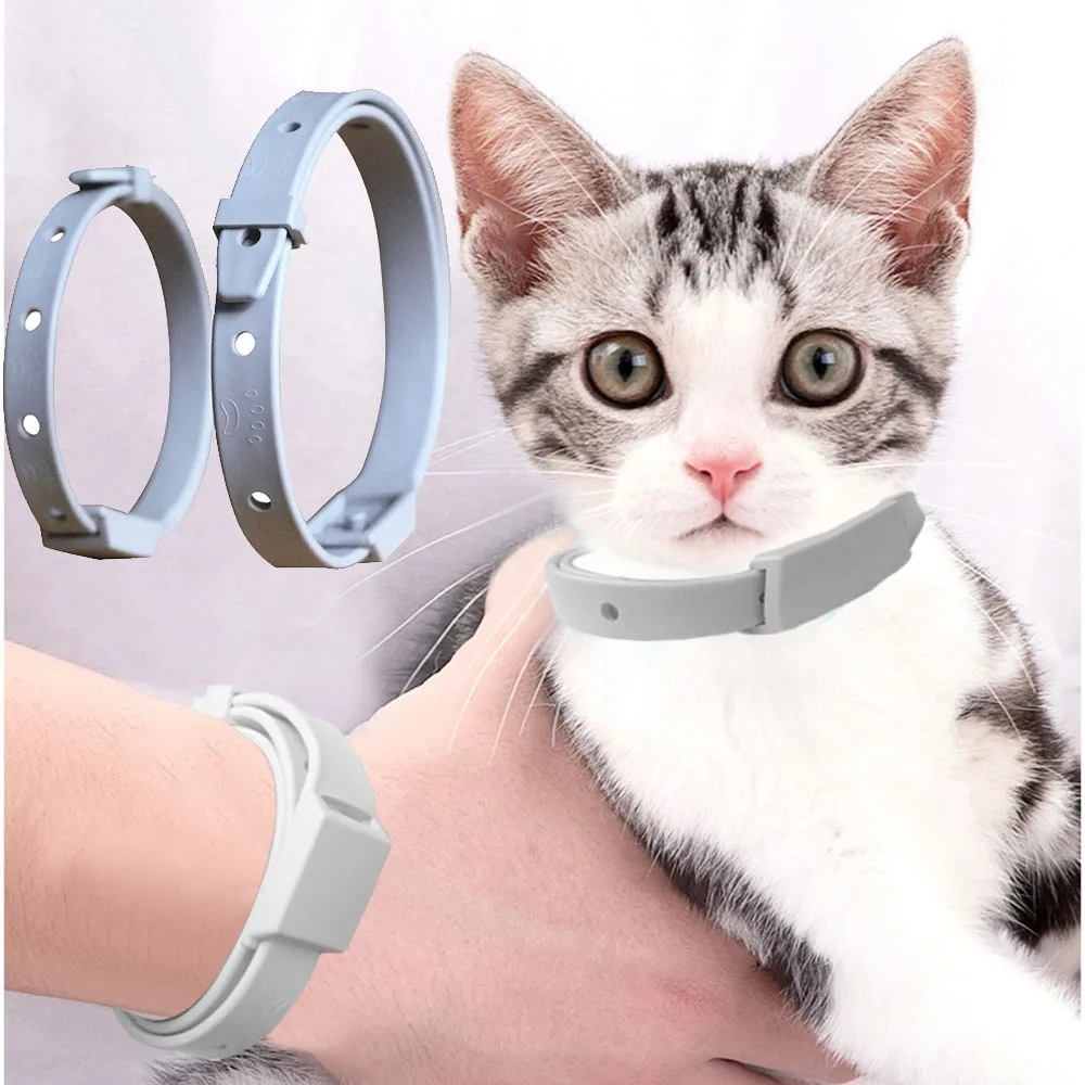 Pet Flea Collar Removes Flea Tick Collar For Dogs Cats Adjustable Puppy Flea  Collar Safe Cat Collar Flea Killer Collar For Cats - AliExpress