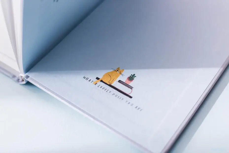 Organizador Pessoal, Pequeno Notebook Fresco, Plano de
