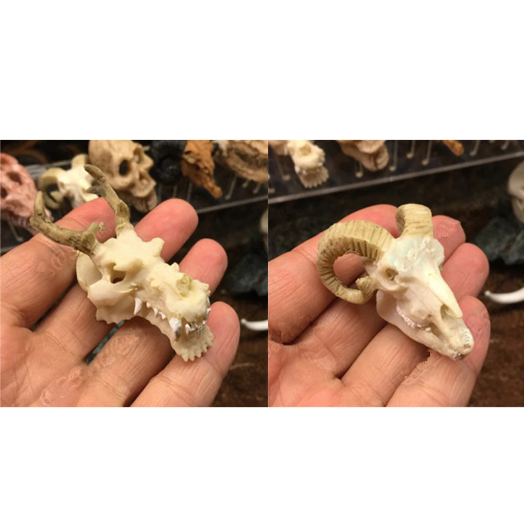 2 Pcs Resin Reptile Vivarium Decoration Terrarium DIY Landscaping Ornament Goat Skull and  Dragon Skull Shape
