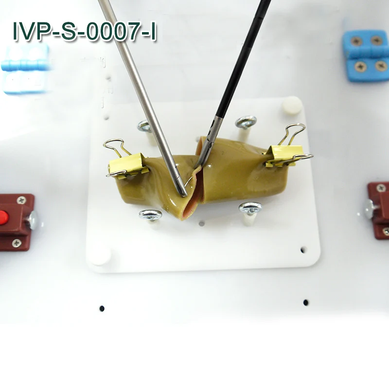 Intestinal sutura modelo de formación Intestinal modelo sutura soporte Clip de la cirugía laparoscópica entrenamiento práctica SIDA