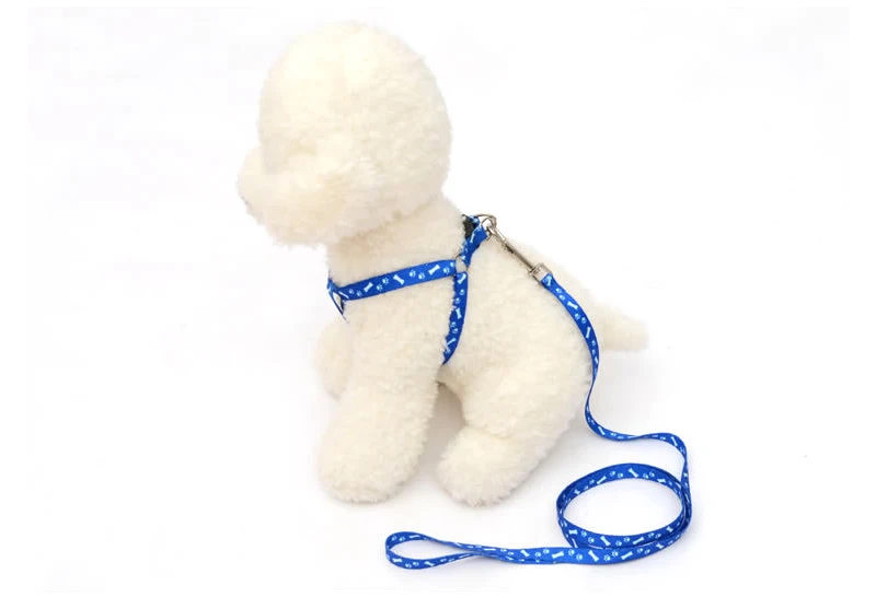 3757628283_1756254533