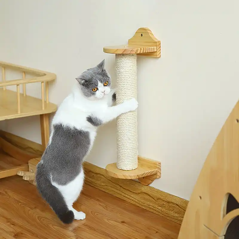 cat scratch post replacement