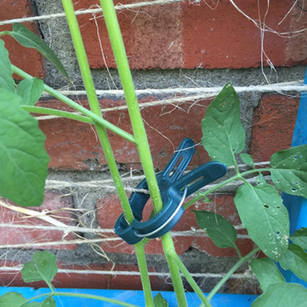 O1CN01vr7vH61DGbQ3yetM7_!!2301740189.jpg_.webp_400x400