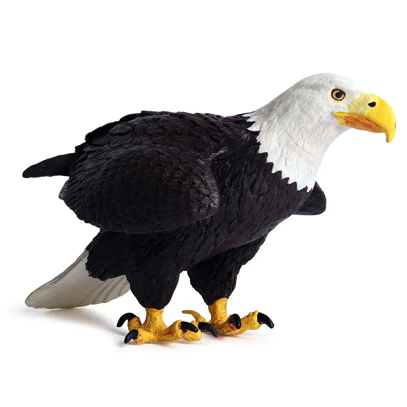 

Children's Simulation wild animal world bird model ornaments eagle large white head sea eagle Collection gift Toy model