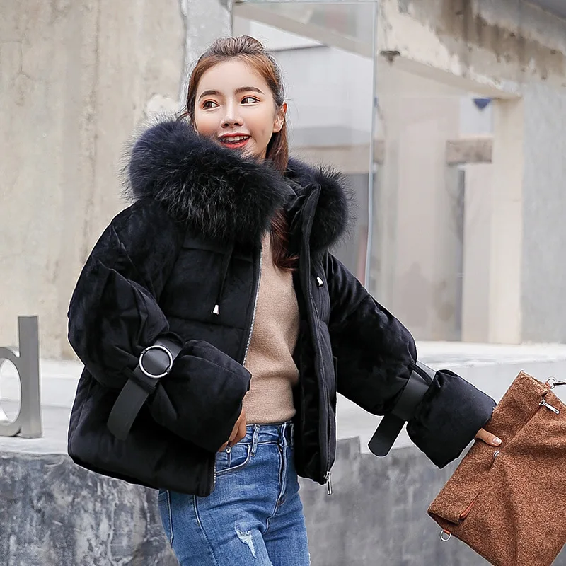 

Wholesale down Jacket Cotton-padded Clothes Women's Korean-style Ultra Large Fur Collar Velvet Cotton-padded Jacket Students Fas