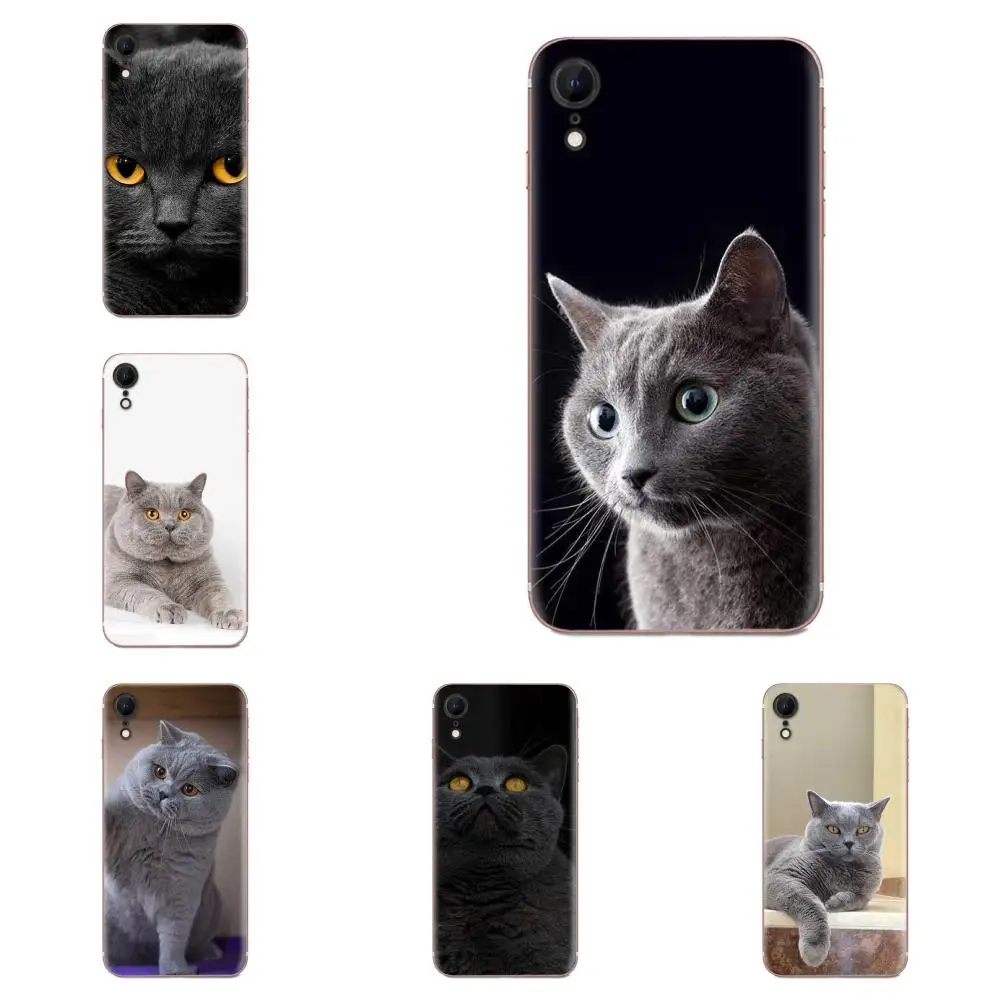 Британский короткошерстный чехол из ТПУ для huawei Honor mate Nova Note 20 20s 30 5 5I 5T 7C 8A 8X9X10 Pro Lite Play