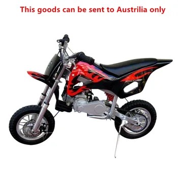 

40km/h Two Wheels Mini Motorbike Toy for 4 -10 Years Old 20KG Weight Load Capacity Children Outdoor Indoor Toys Birthday Gift