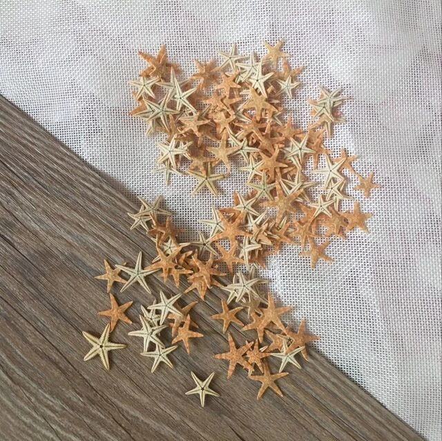 Decoration Crafts, Starfish Shells, Home Decoration, Natural Shell