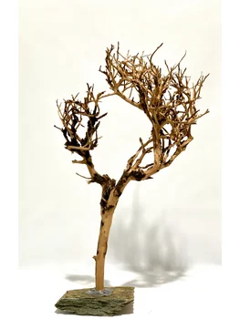 

decoración de acuario árbol