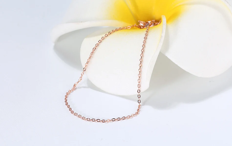 SC06-R-SCENE-IMG_9165-R