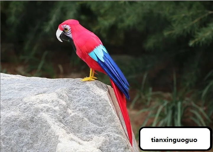 cute simulation parrot model foam&feather red parrot doll about 30cm