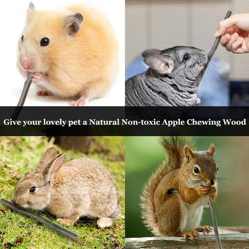 50g-Bag-Pet-Playing-Small-Pets-Rabbit-Hamster-Guinea-Pig-Parrot-Toys-Hamster-Chew-Toy-Apple