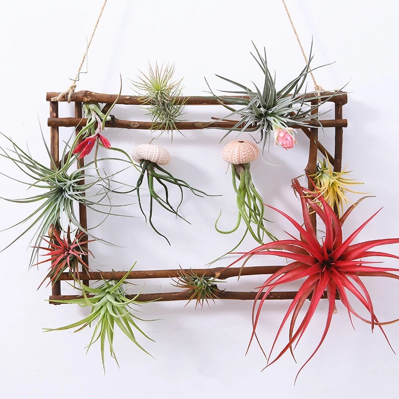

hand-woven wood flower stand air plant storage basket wall hanger air plant rack