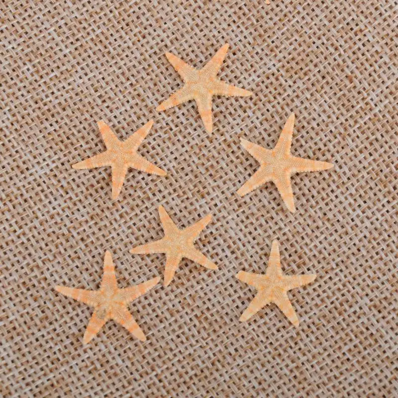 Natural Shell Ornaments 5/25/50pcs Mini Starfish Shell Craft Decoration Sea Stars DIY Beach Cottage Wedding Decor sea shells party sea conch