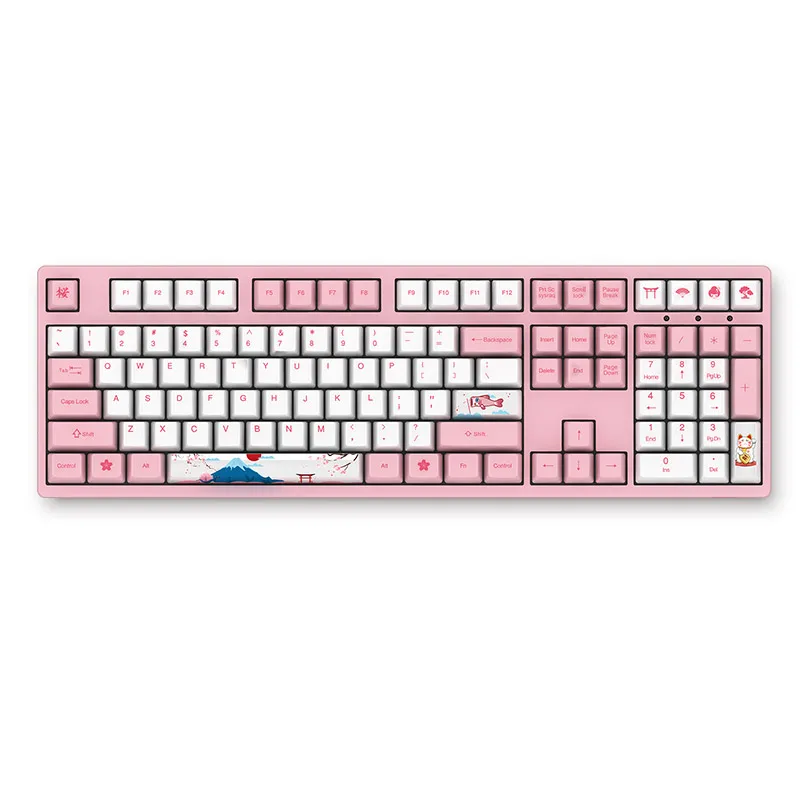AKKO 3108 V2 механическая клавиатура usb type-C Проводная игровая клавиатура 108 клавишные колпачки из ПБТ синий розовый для мировой Тур серии клавиатуры - Цвет: Pink