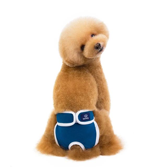 Dog Physiological Pants Solid Color Washable Diaper Washable Sanitary Panties Shorts Female Dog Briefs Pet Menstrual Pants Blue