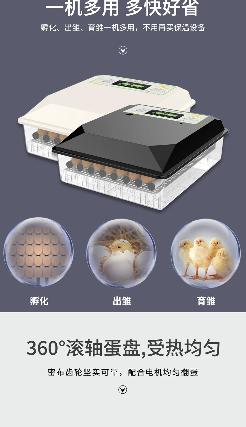 

Dual Power Egg Incubator China Automatic Incubadora Couveuse Multi-purpose machine Thermostat for Incubator 12V/220V