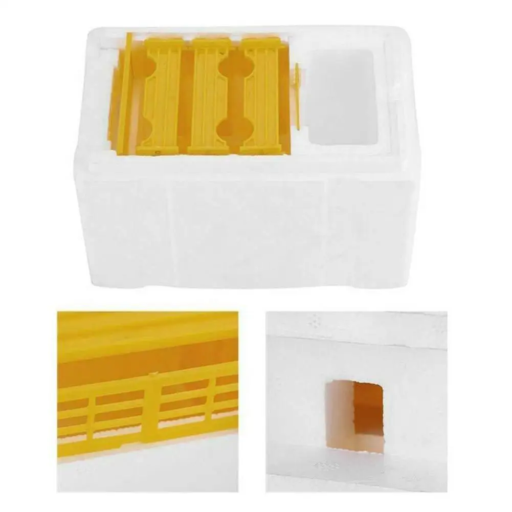 1 Set Queen Bee Rearing Mating Beehive Beekeeping Tools Foam Beehives Nuc Harvest Pollination BeesHive Box Beekeeper Suppliers Beekeeping Tools Beekeeping Accessories