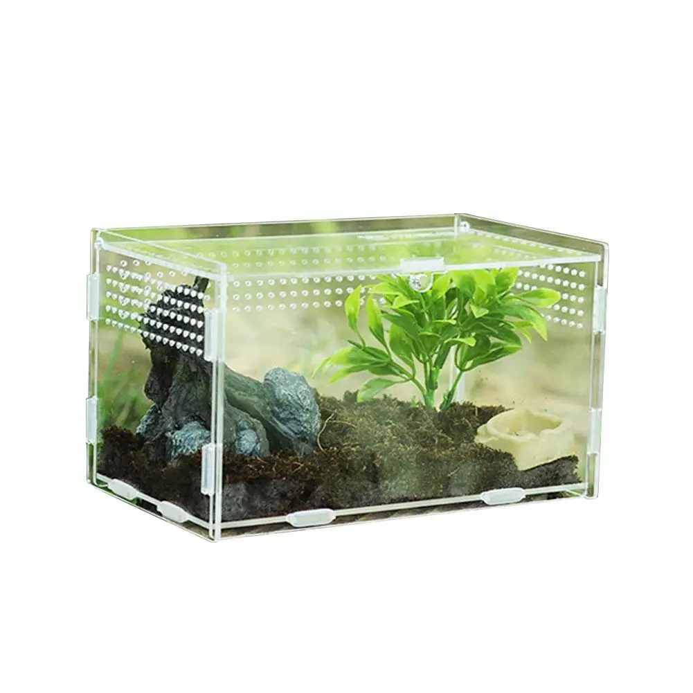 20x12x12CM Несколько вентиляционных отверстий для разведения рептилий коробка акриловая прозрачная Рептилия Танк насекомых пауков скорпионов Mantis кормушка Террариум танк - Color: 20x12x12CM