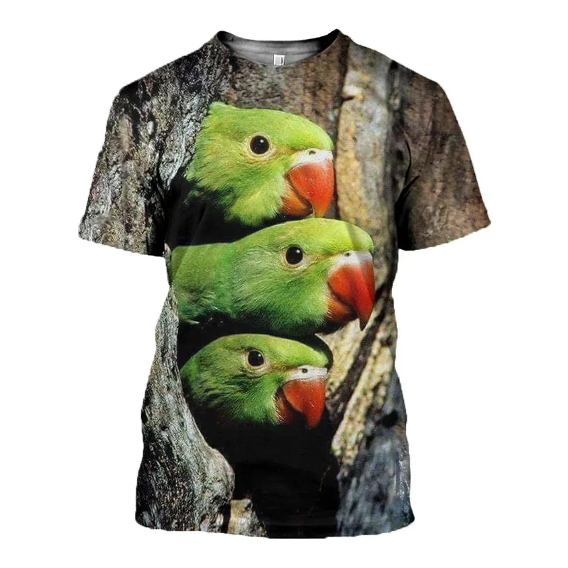 D_c_Parrot_3D_DT140804_T_shirt_800x