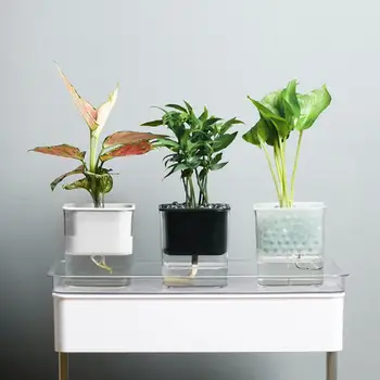 

Pretty Plant Pot Automatic Water Absorption Hydroponic Pot Home Garden Decoration Transparent Rhombus Self Watering Flowerpot