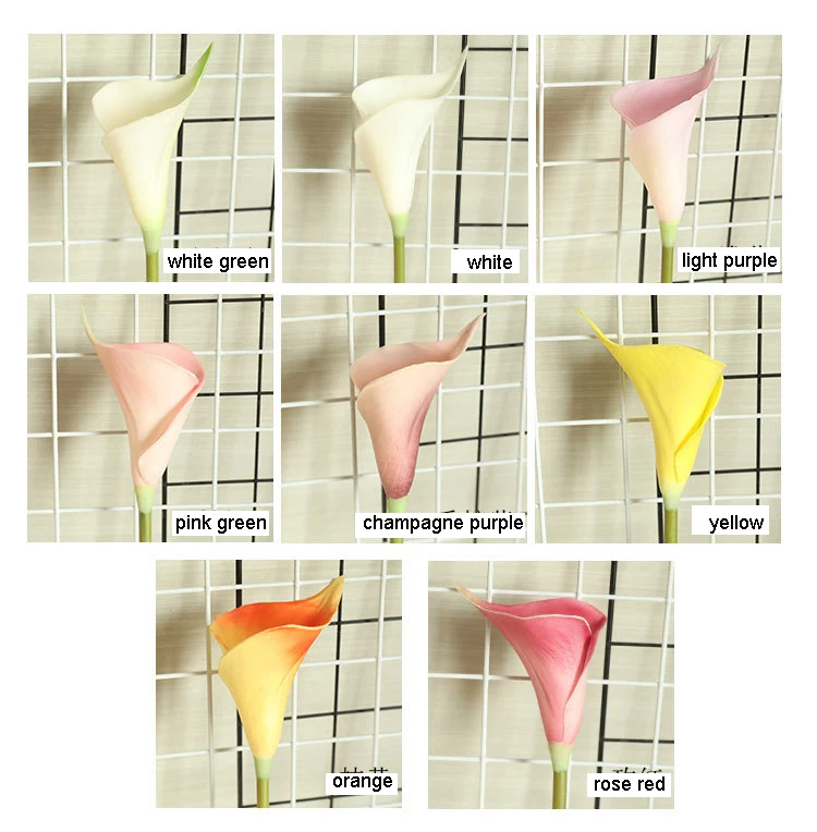 详情_12888834646_1245478559