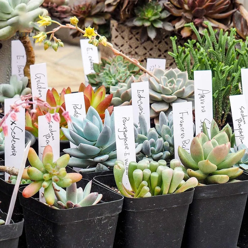 100Pcs White Plastic Plant Labels Waterproof Gardening Plant Classification Sorting Sign Tag Garden Supplies Flower Pot Decor