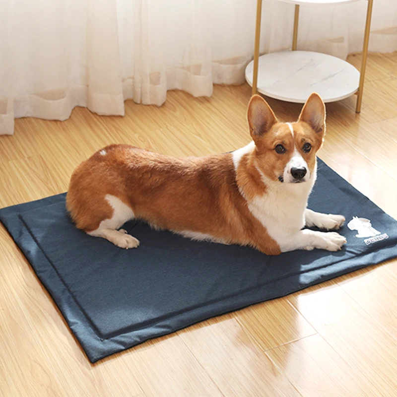 Deiris Pet Mat Anti-Bite Non-Slip Waterproof Dog Mats Washable Dog Bed Built in Soft PBT Sponge Reusable Cat Puppy Urine Pads