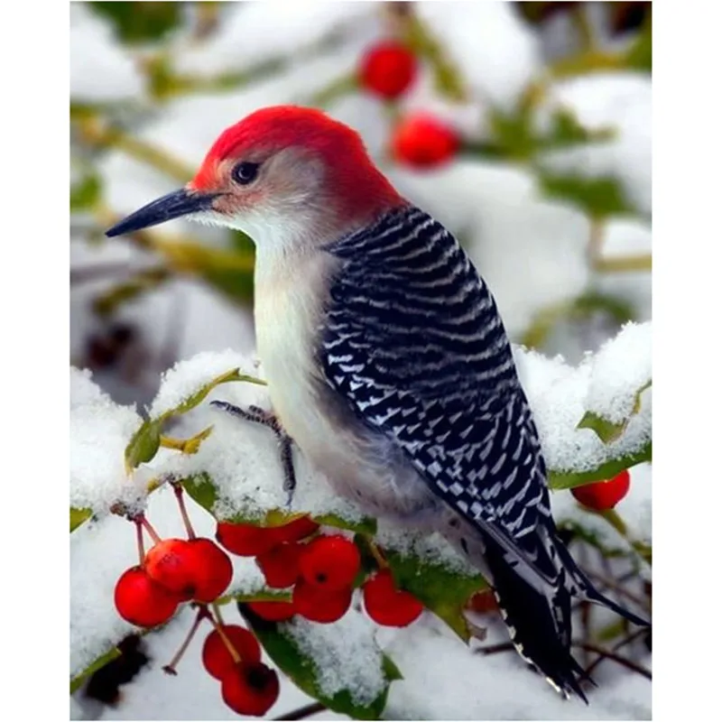 

Full Round Bird 5D DIY Diamond Painting Animals Set Art New Arrival Embroidery Crystal Mosaic Cross stitch Adults Handmade Gifts