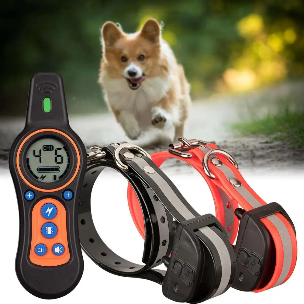shock collar for pomeranian