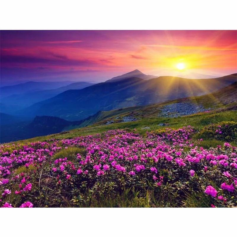 Scenery DIY Painting By Numbers Draw on Canvas Acrylic Oil Coloring Number Modern Home Decor Wall Art Picture Gift | Дом и сад