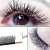 LASHPLUS YY Shape Black 6 линий готовые веера Наращивание Ресниц Два Кончика Ресниц Высокое Качество Ресниц