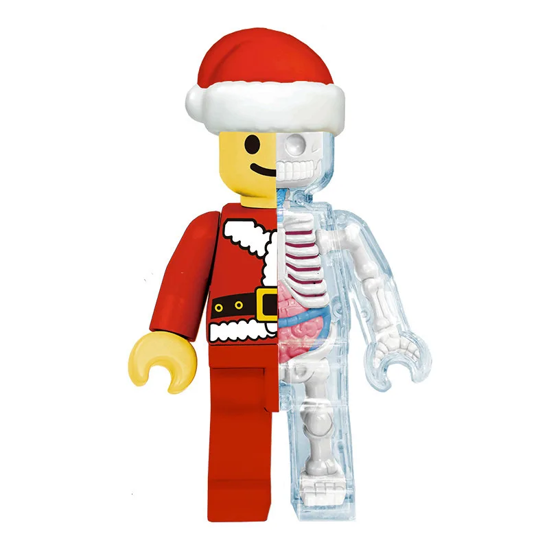 4d Рождественская человеческая прозрачная перспектива анатомическая скелетная