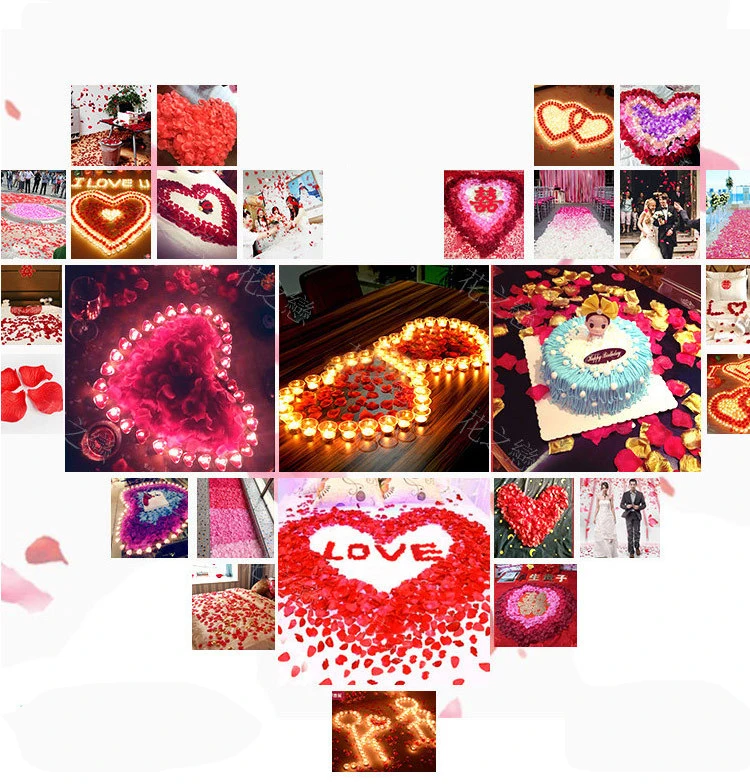 2934234917_405463345