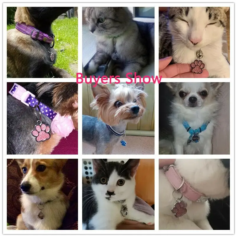 Dog Tag Personalized Pet ID Tags Free Engraved Custom Dog Collar Necklace Anti-lost pet id tags pet collar dog collar tags pet id medal pendant