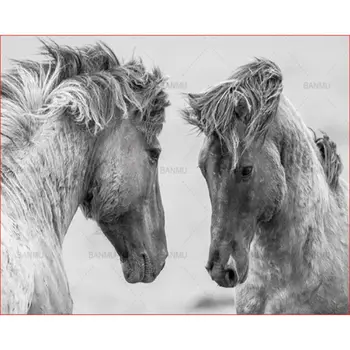 

Double horse Paint by Number Kits 16 x 20 inch Canvas DIY O il Painting new
