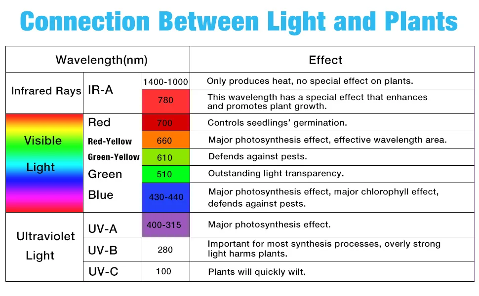 cacaf797-9a39-48e4-b6f3-d92e5ce0f74d.__CR0,0,970,600_PT0_SX970_V1___