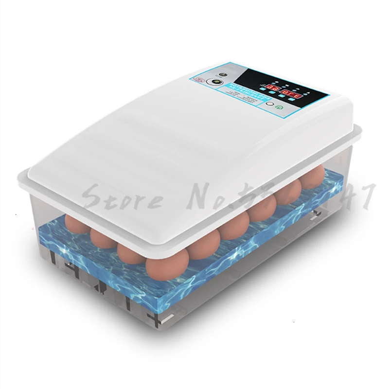 

New Incubator Automatic Chicken and Duck Goose Seedling Incubator Water Bed Constant Temperature Insulation Incubator Small