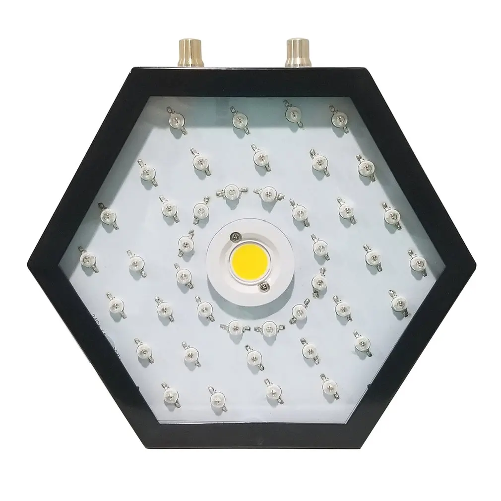 

Plants LED Grow Light Full Spectrum 1000W Double Chip Red/Blue/UV/IR Hexagonal Angle Light For Indoor Plants VEG BLOOM