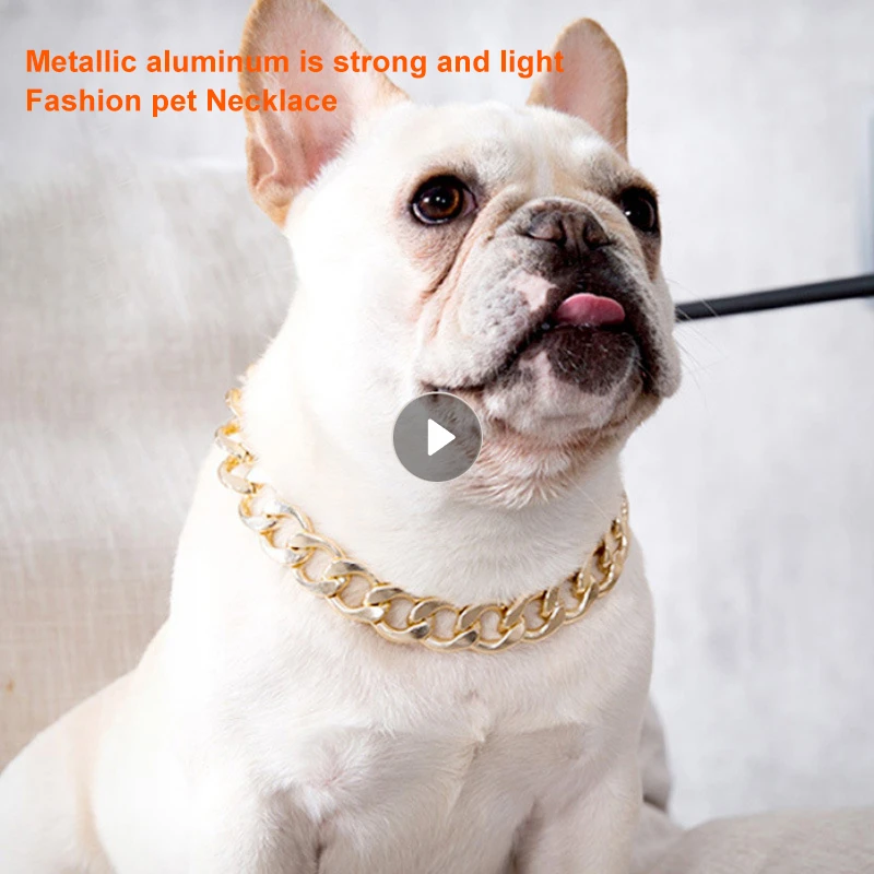 Collar con cadena para aperitivos de perros pequeños, accesorios para Bulldog de peluche, suministros entrenamiento de mascotas, no se destiñe, novedad|Collares| - AliExpress