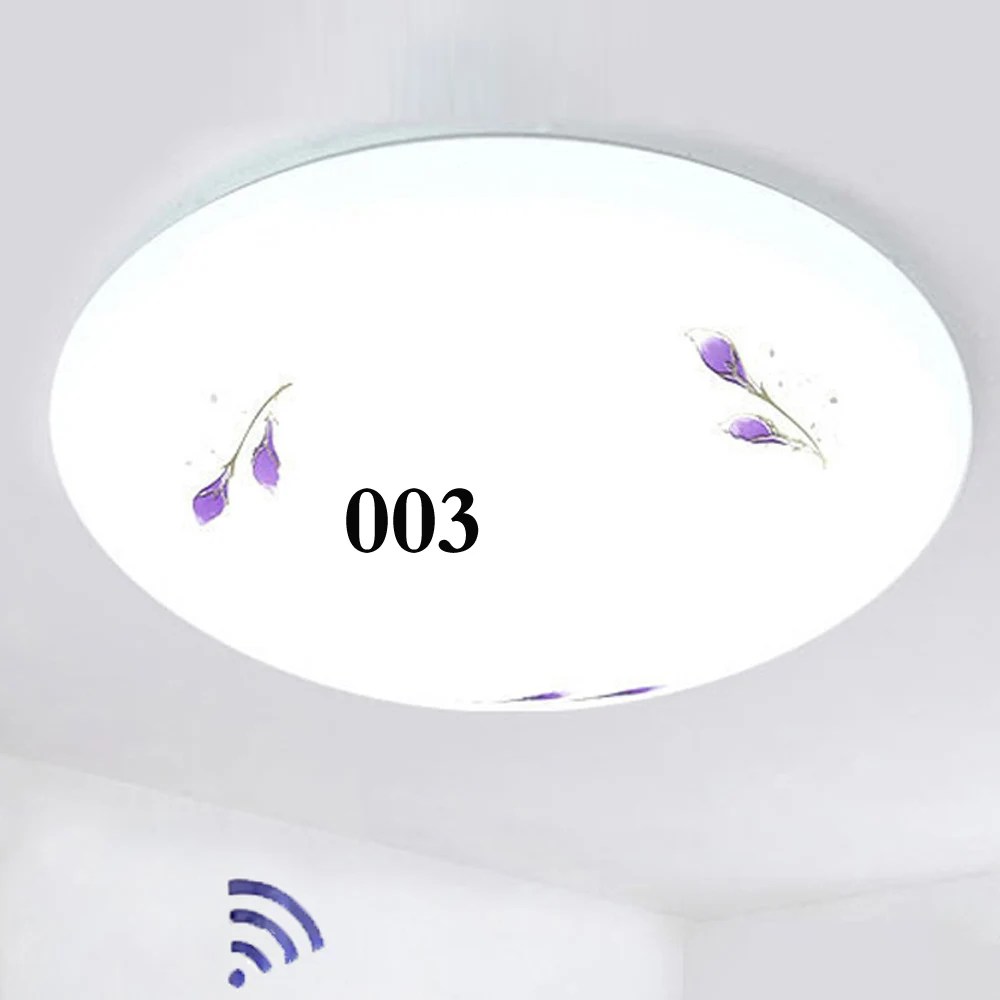 003 Умный современный потолочный светильник, wifi, голосовое управление, подходящий светодиодный потолочный светильник, работающий с Amazon Alexa и Google AC110-240 V - Цвет корпуса: 003