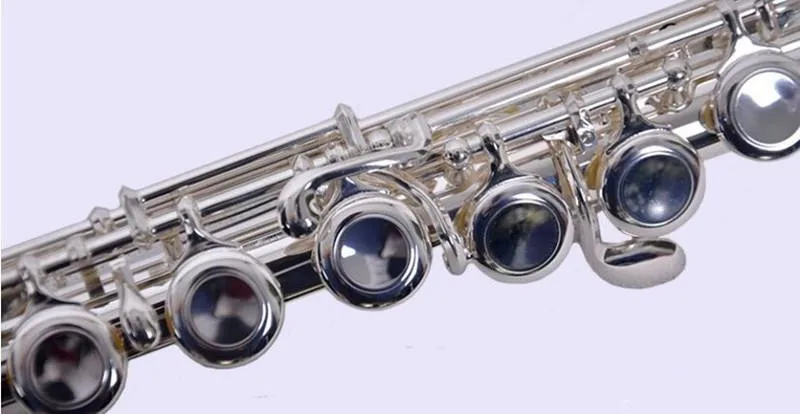 Flute 16 Holes Silver C Tone  with Case