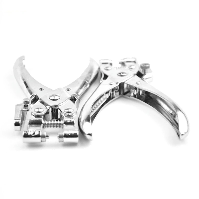 IH0081 (2)