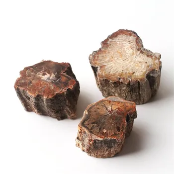 

1PC Natural Petrified Wood Fossil Crystal Polished Slice Mineral Specimen Wood Fossil Lump Stand Gift