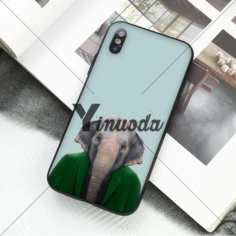 Animal portrait elephant owl tiger panther