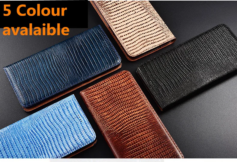 蜥蜴纹款_03_副本