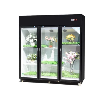 

Commercial Flower Cabinet Fresh-Keeping Cabinet Refrigerator Display Cabinet Flower Shop Refrigerator Flowers Fresh-Keeping