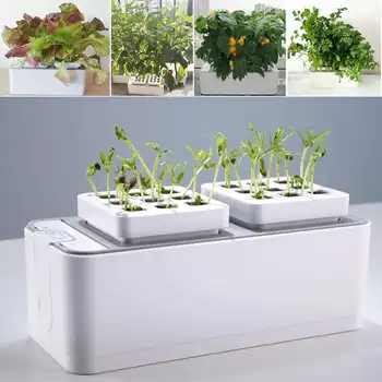 

Hydroponic Indoor Herb Garden Kit Smart Multi-Function Growing kit For Flower Vegetable Cultivation Plant Growth